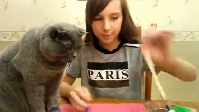 Пончик киви!!! смотреть онлайн