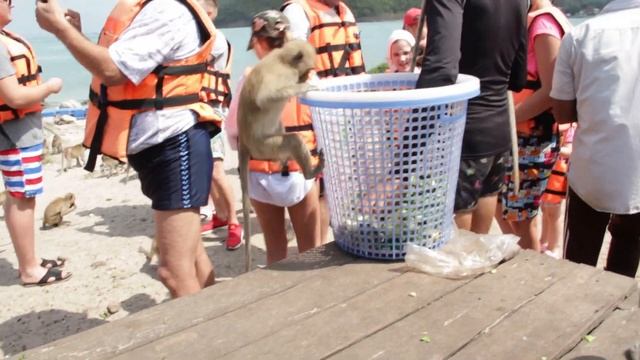 ОЛАМИ МАЙМУНОН смотреть онлайн