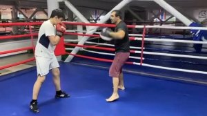 Рабочие комбинации. Бокс. Лапы