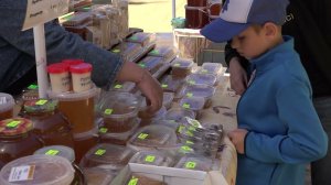 Осенняя сельскохозяйственная ярмарка начала свою работу в Биробиджане