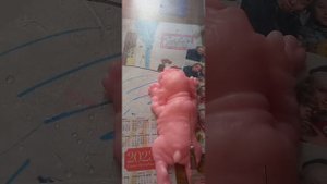 показываю как делать на антистресс собаки 🐶🐩 ПРЫЩИ😱