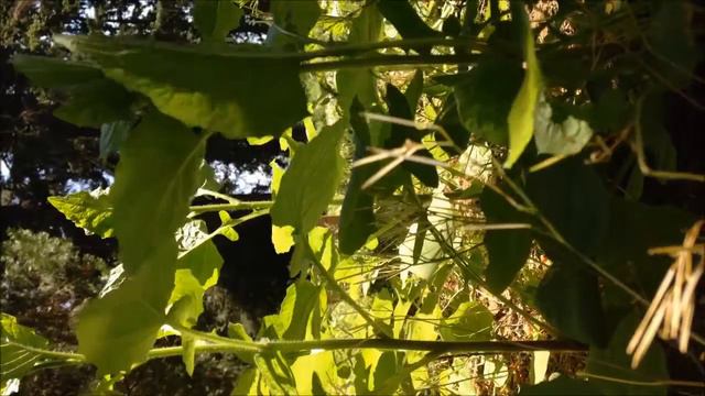 2.8 and 2.3 смотреть онлайн