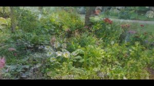 Perennial Garden in zone 4 Minnesota // coneflowers, lilies & more 🍀 flower garden 🍃