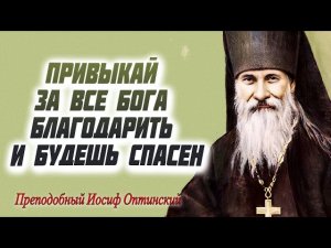 Привыкай за все Бога благодарить и будешь спасен! Преподобный Иосиф Оптинский