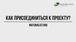 Присоединиться к проекту конкурса на inaturalist.org