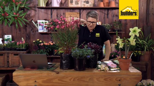 Garden Masterclass with Tanya Visser