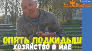 Обзор хозяйства в мае: козлята от Ляльки, разноцветные яйца, подкидыш щенок. "Мое Подворье"