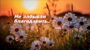 Не забывай благодарить..