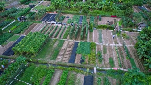 Заброшенный сахарный завод. Арт объект в Китае. Гуанчжоу. 4K. An abandoned sugar factory. Guangzhou смотреть онлайн