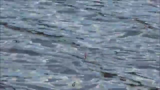 Ловля уклейки в Жостово смотреть онлайн