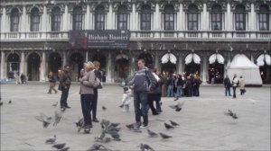 голодные голуби Венеции
