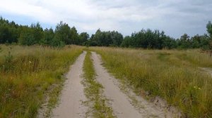 д.Щегловка.Брянская область.Навлинский район.