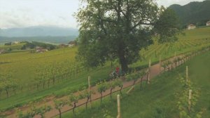Eurac Research Flagship Video