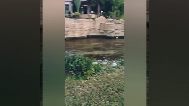 725-я пробежка! 11.10.21(8,1 км) Анталья, Турция🇹🇷 #running technique #run #fitness смотреть онлайн