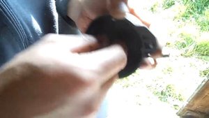 КРЫШКИ ТРАМБЛЕРОВ ДЕО МАТИЗ ХОРОШАЯ ПОДСКАЗКА