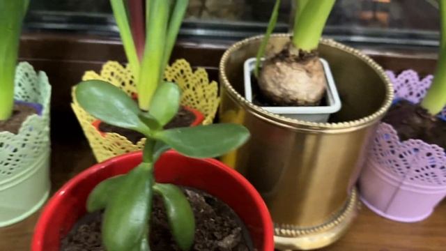 КУДА Я ПРОПАЛ…? смотреть онлайн