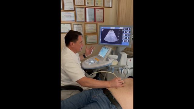 Узи для начинающих. Урок "Эластография печени" смотреть онлайн