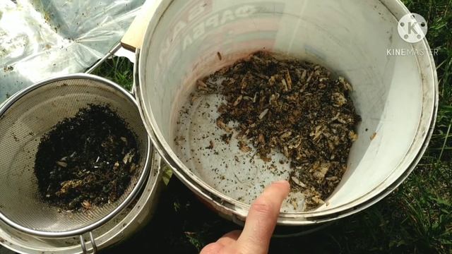 Инкубатор для восковой моли. Продукт жизнедеятельности личинки восковой моли. смотреть онлайн