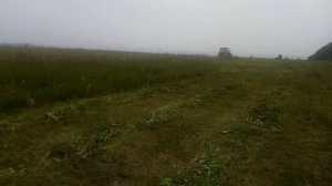 Мтз 82. Два трактора косят сено