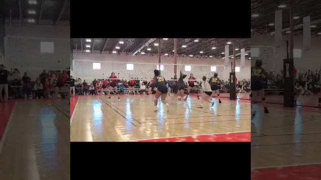 Mailei Myers #32 #HiveVolleyball смотреть онлайн