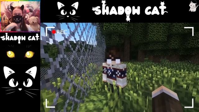 ЗАРАЖЕНИЕ НАЧАЛОСЬ. ЖИТЕЛИ В ОПАСНОСТИ. НЕЧТО [ЧАСТЬ 5] - СТРАШИЛКИ В МАЙНКРАФТ / РЕАКЦИЯ НА ЛИНЧА смотреть онлайн