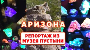 Аризона и что там можно увидеть. Репортаж 6.