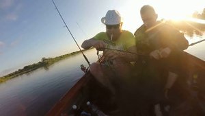 Судак на мологе