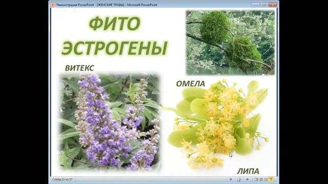 Лечебные травы! Секреты славянских травников Мастер класс