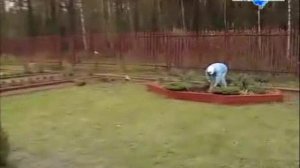 Удачи на даче - Газон (Подмосковье)