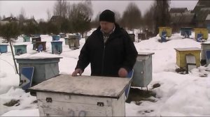 НАДЁЖНЫЙ СПОСОБ ПОДКОРМКИ ПЧЁЛ ЗИМОЙ