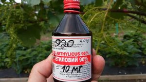 применение г к на винограде гелиодоре