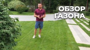 Обзор газона | Твой Сад #газон #ландшафтныйдизайн