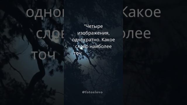 Четыре изображения, однократно. Какое слово наиболее точно описывает все четыре фото?