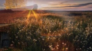 ТЫ ПРОСТИ МЕНЯ МАМА