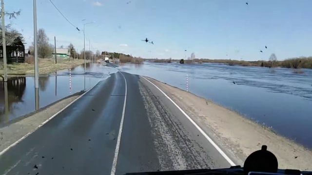 Затопило дорогу, плывем или едим#