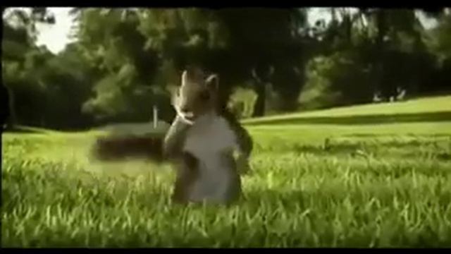 Забавная реклама KIT KAT  Влюбленные белки смотреть онлайн