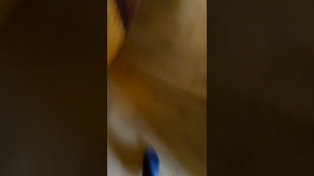 скибиди туалет и камера мен и спикер мен часть 3 смотреть онлайн