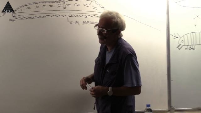 Никита Вихрев: "Рассказы о двукрылых" смотреть онлайн