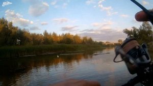 Осенняя рыбалка, Волгоградская обл., прошелся по летним местам, рассуждение о приманках и ловле.