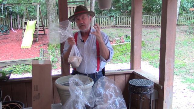 How to Grow Blueberries in a Pot or Container with Tim Berry смотреть онлайн