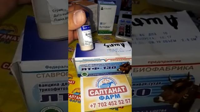 ЛТФ-130 смотреть онлайн