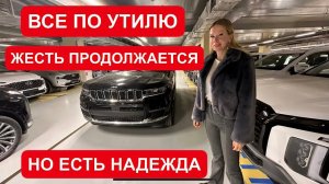 Лиса рулит - подборы, топ авто и советы