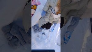 звоним в телефон доверия