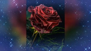 Я для тебя одной живу, любовь моя