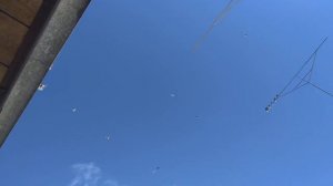 п. Аютинский, в гостях у голубевода Дмитрия!