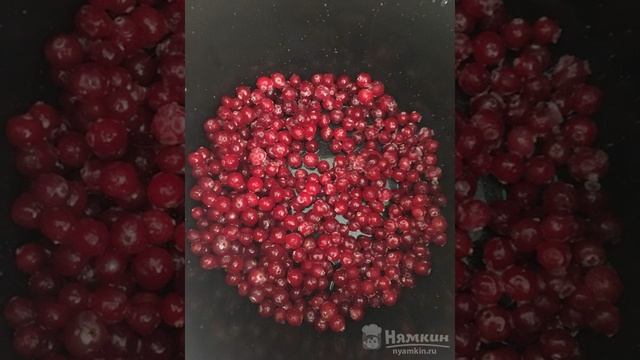 Брусничный морс в мультиварке