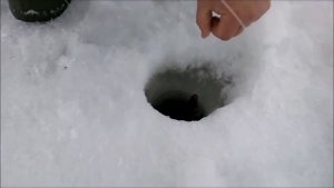 =Зимняя рыбалка экраном=