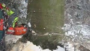 Работа бензопилой Хускварна 357 XPhusqvarna 357XP