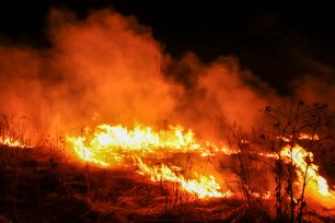 Мощные лесные пожары в Минусинском районе Красноярского края, 2 мая 2022