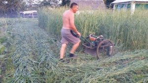 Самодельная роторная косилка, высота не имеет значения..DIY (homemade) rotary mower from chainsaw..